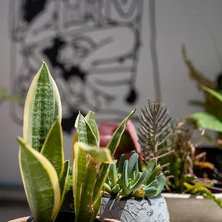 Memeraki Artist Residency Habitación en casa particular