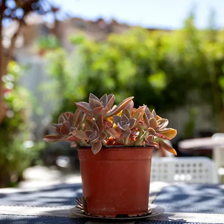 Memeraki Artist Residency