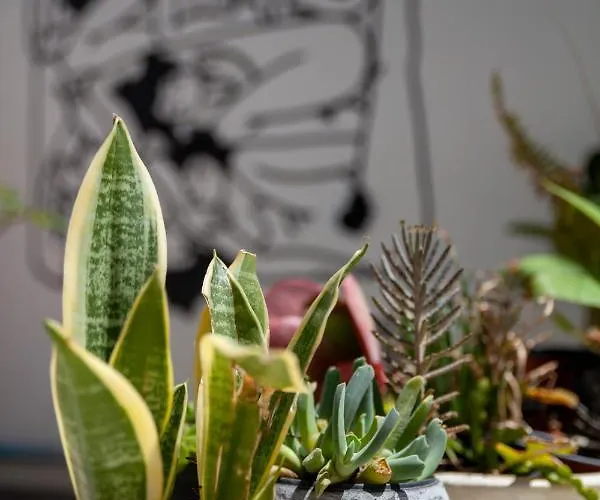 Memeraki Artist Residency Habitación en casa particular