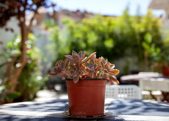 Memeraki Artist Residency